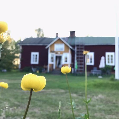 Paeivin Pirtti - Pirttikahvila Ja B&B Luosto Eksteriør billede