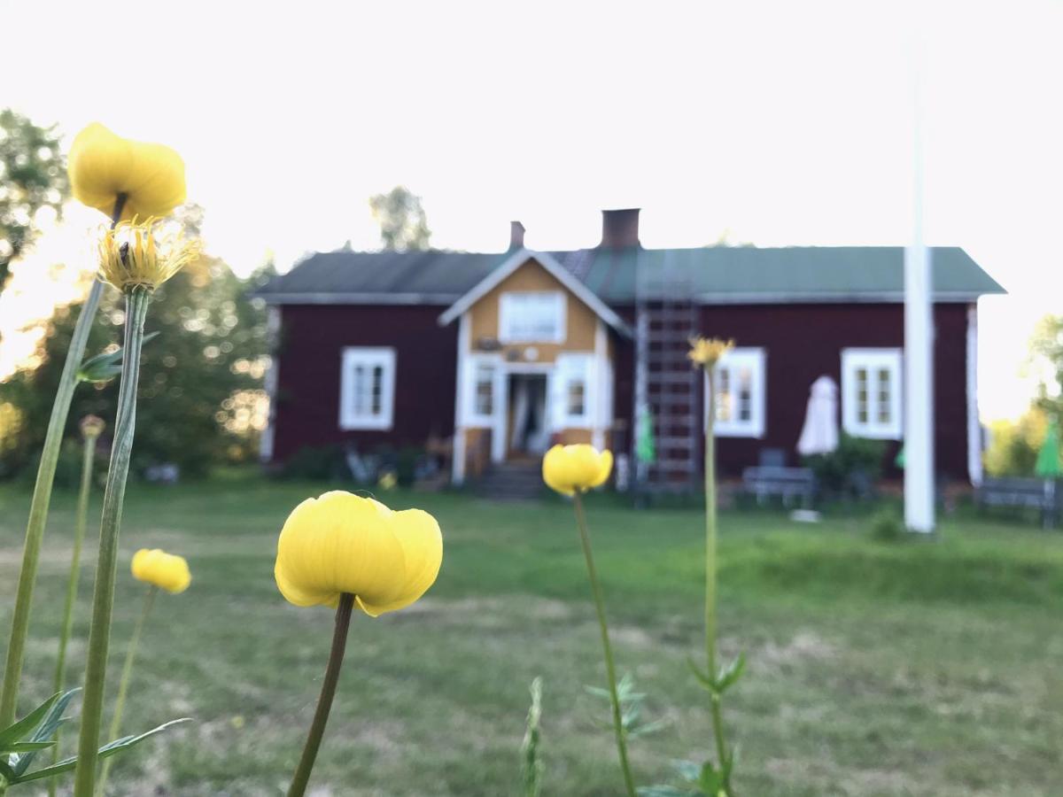 Paeivin Pirtti - Pirttikahvila Ja B&B Luosto Eksteriør billede